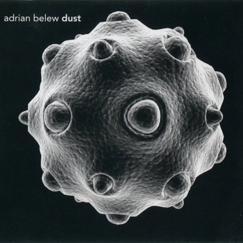 Adrian Belew : Dust